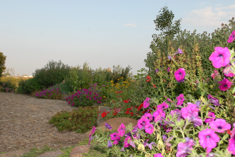 D20_0084.JPG